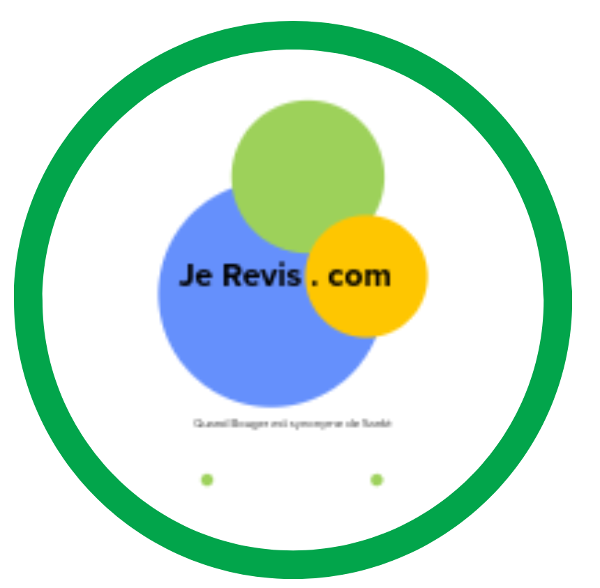Je Revis